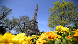 В Экибастузе ищут подрядчика для обустройства "парижской улочки"