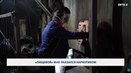 "Пищевой" мак оказался наркотиком