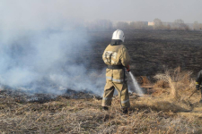 Пожарные в Павлодарской области продолжают бороться с возгораниями в пойме Иртыша