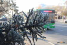 Выходные без осадков обещают павлодарцам синоптики