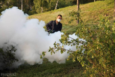 Обработку от гнуса проведут в Павлодаре вечером 29 мая
