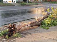 29 крыш сорвал шквальный ветер в Павлодарской области