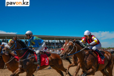 Более восьми тысяч зрителей собрал турнир "ERTIS-BAYAN CUP" в Павлодаре (фото)