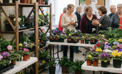 Цветочную выставку проведут в Павлодаре