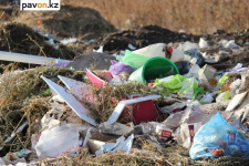 На мусорном полигоне в Экибастузе выявили экологические нарушения