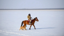 На каких животных и птиц можно охотиться зимой в Павлодарской области