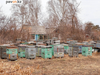 В Павлодаре официально стартует дачный сезон