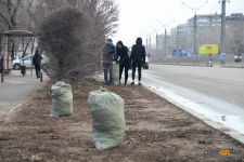 С 1 апреля в Павлодарской области начнется сезон субботников