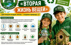 Поделки из пластиковых бутылок и картона: в Павлодарской области стартовал экологический конкурс