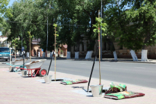 В павлодарском сквере Детства высадили 50 лип
