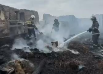 Шесть человек погибли при пожаре в Павлодарской области: спасатели рассказали новые подробности