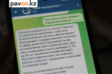 Павлодарцы с инвалидностью смогут не выходя из дома узнать, как найти работу или открыть свой бизнес