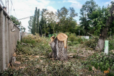 Куда обращаться павлодарцам по вопросам благоустройства во время карантина, рассказали в отделе ЖКХ