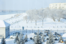 Каким 2020 год запомнят жители Павлодарской области - часть пятая