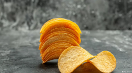 Реализация чипсового проекта в Павлодарской области завит от минсельхоза