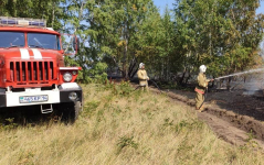 В Павлодарской области загорелся лес