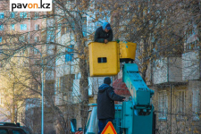 Для обрезки аварийных деревьев в Павлодаре создали отдельную бригаду