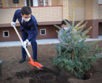 Аким Павлодарской области вместе с новоселами в Экибастузе высаживал елки