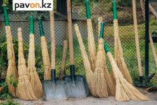 Павлодарцы могут присоединиться к экологическим акциям