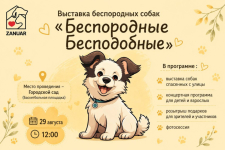 Павлодарцев приглашают на выставку спасенных собак "Беспородные &mdash; бесподобные"