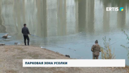 Совет ветеранов предложил организовать парковую зону на берегу Усолки