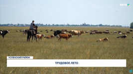 Трудовое лето