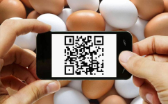 Маркировать QR-кодом яйца и молочную продукцию планируют в министерстве сельского хозяйства РК