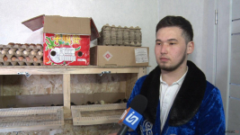 Птицевод-школьник 5 лет кормит односельчан в Павлодарской области