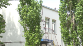 Работница детсада оформила на коллег кредитов на 14 миллионов в Павлодаре