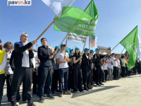 Лесники призвали жителей Павлодара беречь природу