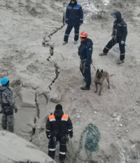 К поискам автобуса со спасателями, который провалился под землю на &laquo;Майкаинзолото&raquo;, подключились кинологи