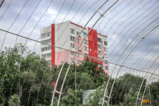 Пасмурную и прохладную погоду прогнозируют синоптики в Павлодаре