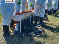 Воздержаться от прогулок у Иртыша советуют павлодарцам сегодня вечером