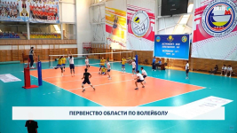 Первенство области по волейболу