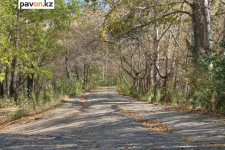 Строительство экопарка на Усолке отложили на неопределенный срок