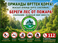 Куда сообщать о лесных пожарах, рассказали павлодарцам