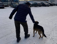Осужденного павлодарской колонии дождался верный четвероногий друг