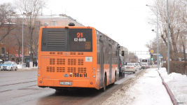 Порядка 1500 пенсионеров получат право бесплатного проезда в Павлодаре