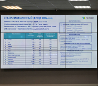 В павлодарском стабфонде хранится 14 тысяч тонн продукции