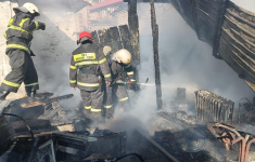 Причиной масштабного пожара в Баянаульском районе стала птица