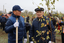 Пока Павлодар утопал в снегу, в Экибастузе сажали деревья