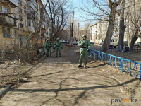 В Павлодаре санобработку городских дворов взяли на себя военные