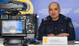 Контроль за прокатом лошадей усилят в регионе