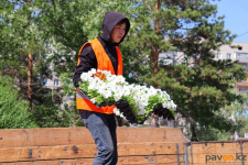 Власти Павлодара предоставят молодежи города работу на лето