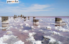 От угольного разреза до розового озера: павлодарцев приглашают в бесплатные поездки по области