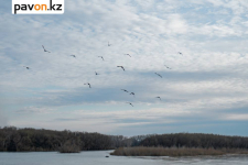 6,4 кубокилометра воды сбросили в Иртыш из Шульбинского водохранилища