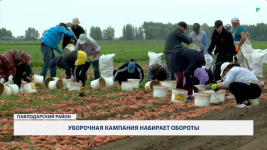 Уборочная кампания набирает обороты